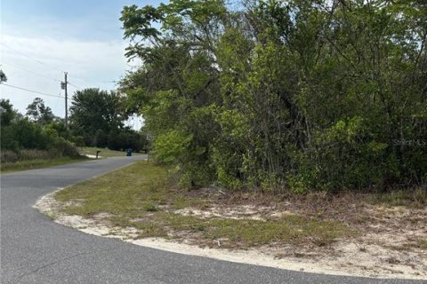 Land in Weeki Wachee, Florida № 1684440 - photo 1