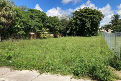 Land in Fort Lauderdale, Florida № 1943592 - photo 1
