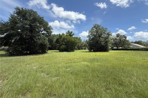 Land in Umatilla, Florida № 1833503 - photo 2
