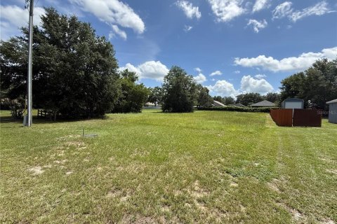 Land in Umatilla, Florida № 1833503 - photo 3