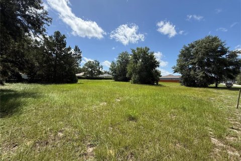 Land in Umatilla, Florida № 1833503 - photo 1