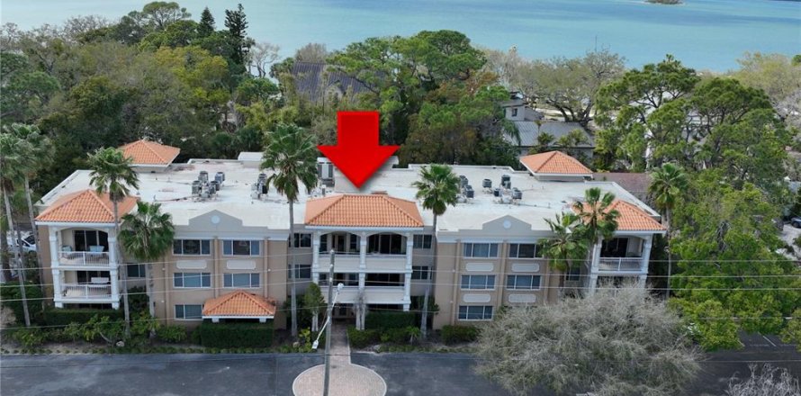 Condo à Dunedin, Floride, 2 chambres  № 2195405