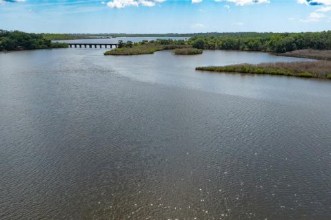 Купить виллу или дом в Порт-Оранж, Флорида 8 комнат, 441.47м2, № 2232188 - фото 12