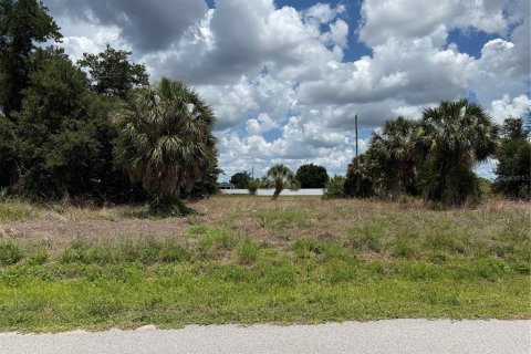 Terrain à vendre à Punta Gorda, Floride № 2195499 - photo 5