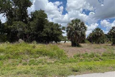 Terrain à vendre à Punta Gorda, Floride № 2195499 - photo 4