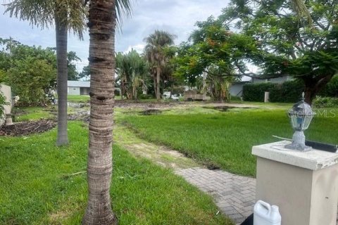 Land in Tampa, Florida № 1894579 - photo 2
