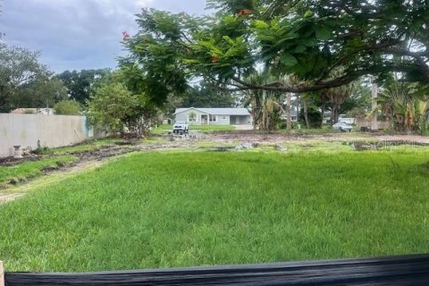 Land in Tampa, Florida № 1894579 - photo 4