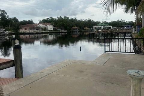 Land in Tampa, Florida № 1894579 - photo 5
