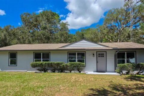 Villa ou maison à Dunnellon, Floride 3 chambres, 120.4 m2 № 2345513