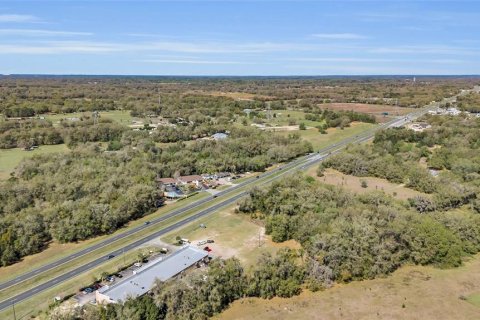 Land in Summerfield, Florida № 218911 - photo 8