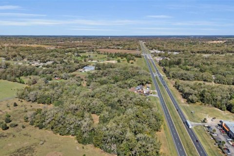 Land in Summerfield, Florida № 218911 - photo 9