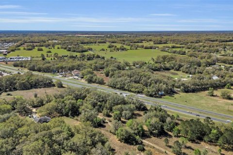 Land in Summerfield, Florida № 218911 - photo 5
