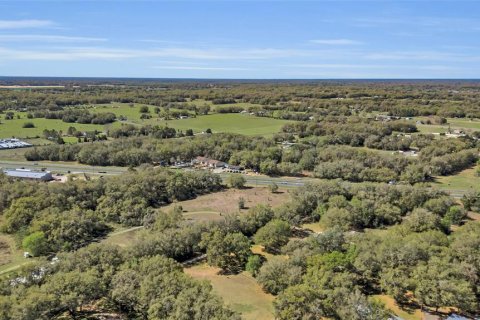 Land in Summerfield, Florida № 218911 - photo 6