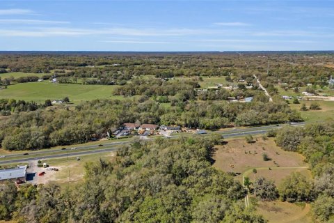 Land in Summerfield, Florida № 218911 - photo 7