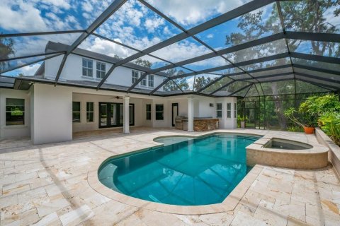 Villa ou maison à vendre à Fish Hawk, Floride: 4 chambres, 468.04 m2 № 1847432 - photo 2