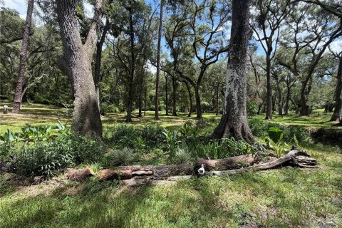 House in Lake City, Florida 4 bedrooms, 205.41 sq.m. № 2197829 - photo 6