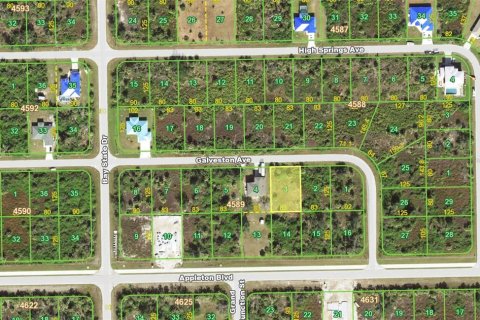 Land in Port Charlotte, Florida № 2161855 - photo 3