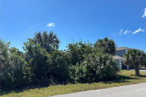 Land in Port Charlotte, Florida № 2161855 - photo 4