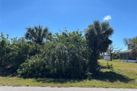 Land in Port Charlotte, Florida № 2161855 - photo 2