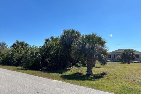 Land in Port Charlotte, Florida № 2161855 - photo 5