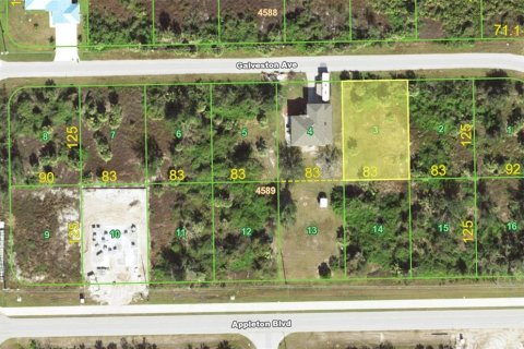 Land in Port Charlotte, Florida № 2161855