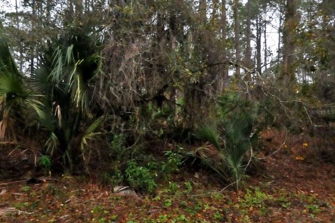 Terrain à North Port, Floride № 2160786