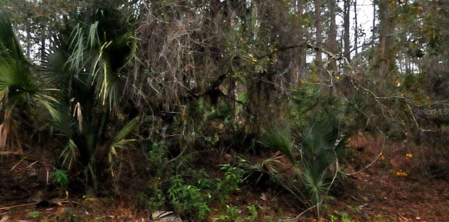 Terrain à North Port, Floride № 2160786