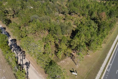 Land in Interlachen, Florida № 1792690 - photo 3