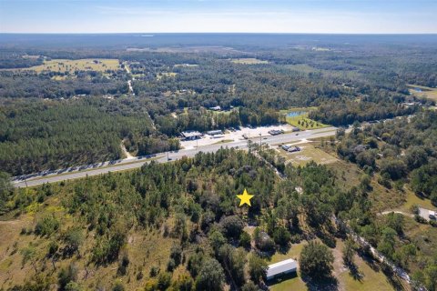 Land in Interlachen, Florida № 1792690 - photo 5