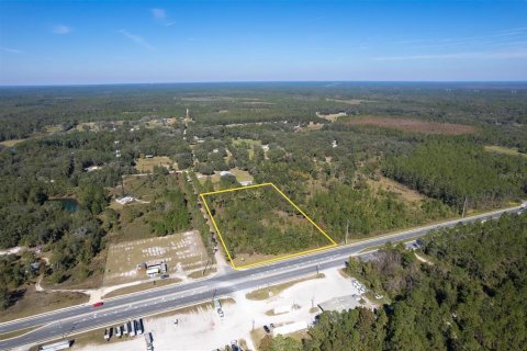 Land in Interlachen, Florida № 1792690 - photo 2