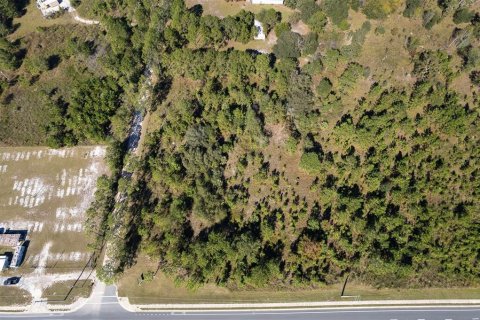 Land in Interlachen, Florida № 1792690 - photo 4