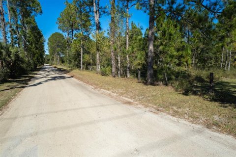 Land in Interlachen, Florida № 1792690 - photo 7