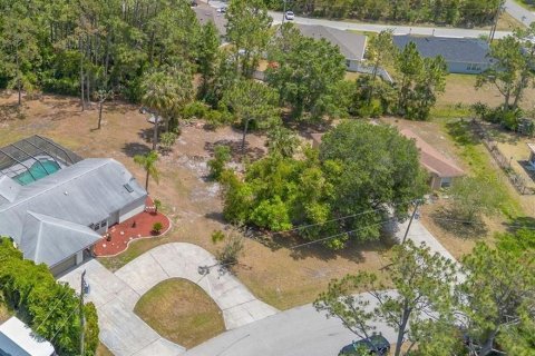 Land in Palm Coast, Florida № 1912486 - photo 3