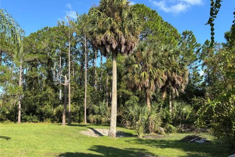 Land in Palm Coast, Florida № 1912486 - photo 2
