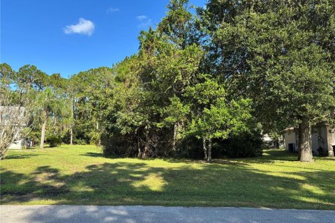 Land in Palm Coast, Florida № 1912486 - photo 1