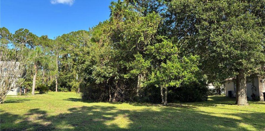 Land in Palm Coast, Florida № 1912486