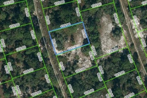 Land in Lake Placid, Florida № 2226547