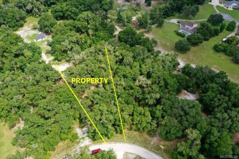 Terreno en Inverness, Florida № 2228926