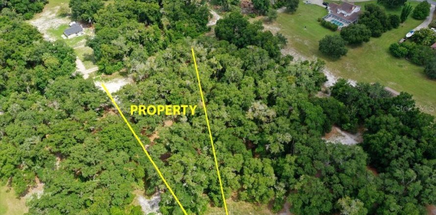 Terreno en Inverness, Florida № 2228926