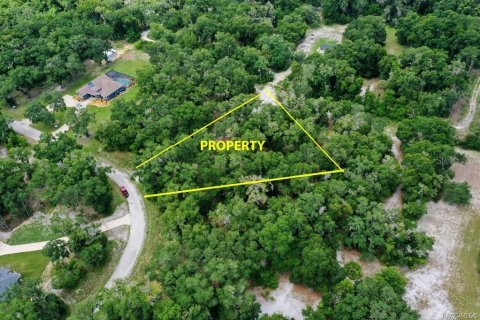 Terreno en venta en Inverness, Florida № 2228926 - foto 3