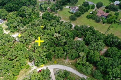 Terreno en venta en Inverness, Florida № 2228926 - foto 2
