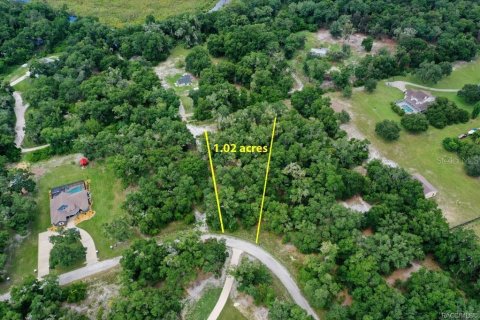 Terreno en venta en Inverness, Florida № 2228926 - foto 4