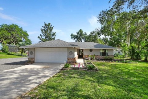 Villa ou maison à De Leon Springs, Floride 3 chambres, 157.47 m2 № 2157326