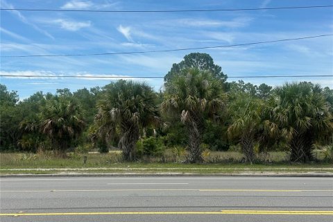 Land in Crystal River, Florida № 2091464 - photo 5