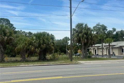 Land in Crystal River, Florida № 2091464 - photo 4