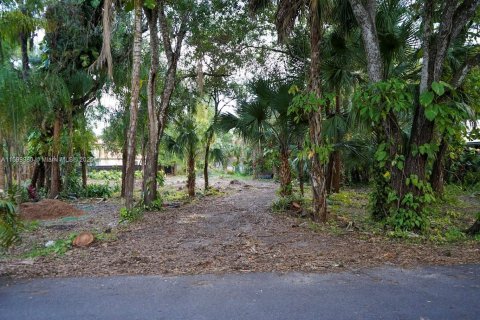 Land in LaBelle, Florida № 1209908 - photo 2