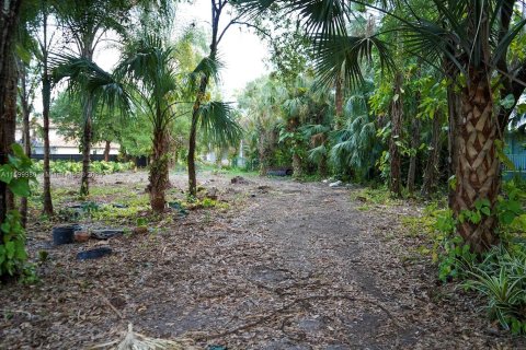 Land in LaBelle, Florida № 1209908 - photo 3