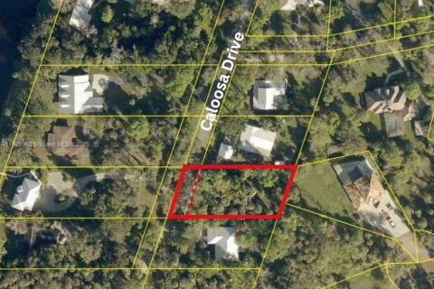 Land in LaBelle, Florida № 1209908 - photo 7