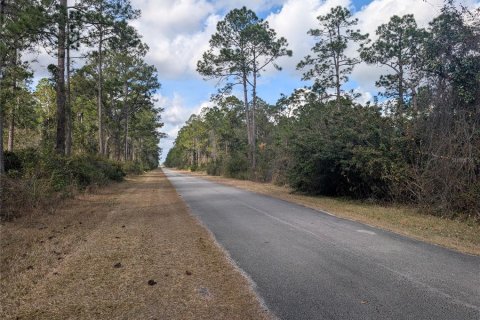 Terreno en venta en Indian lake estates, Florida № 2108912 - foto 2