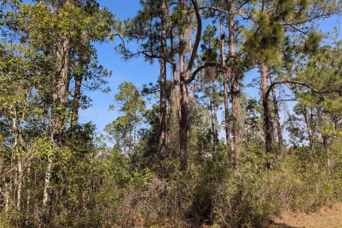 Terrain à Indian lake estates, Floride № 2108912